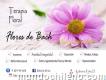 Terapia Floral de Bach