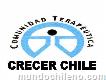 Fundación Crecer Chile