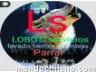 Lobo's servicios
